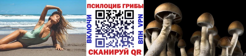 хочу наркоту  Белово  Псилоцибиновые грибы GOLDEN TEACHER 